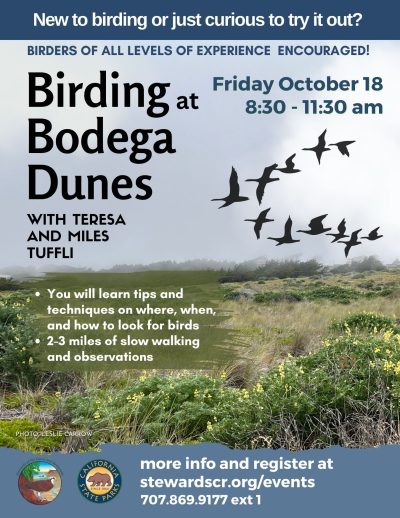 2024 Birding at Bodega Dunes October