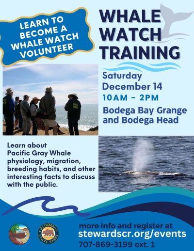2024 Whale Watch Volunteer Training