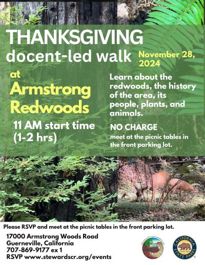 2024 Thanksgiving docent-led walk in Armstrong Redwoods