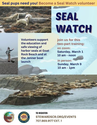 2025 Seal Watch Volunteer Training
