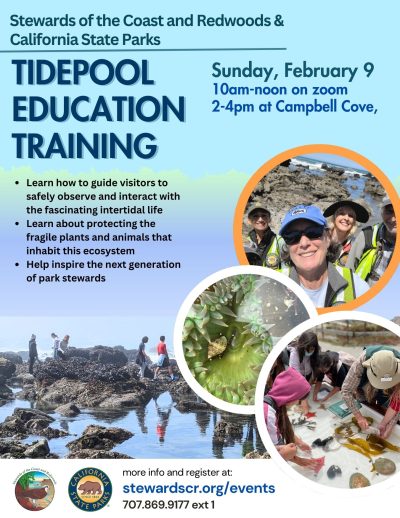 2025 Tidepool Volunteer Training and Field Visit | Stewards of the ...