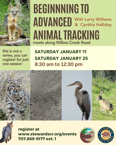 2025 January 25 Beginning to Advanced Animal Tracking