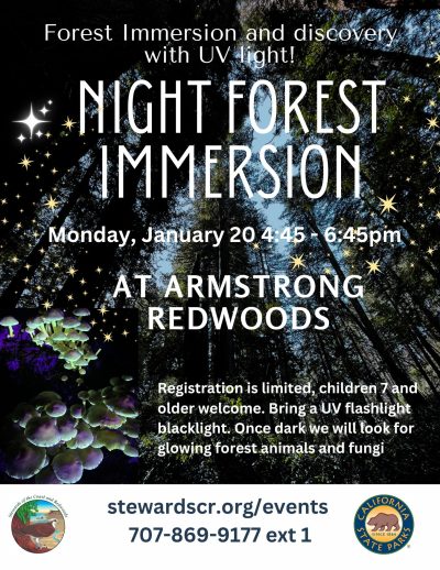 2025 January Night Forest Immersion Walk with UV lights