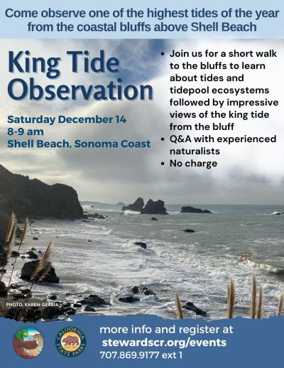 2024 King Tide Observation December