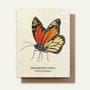 Note Card: Monarch Butterfly (seed card)