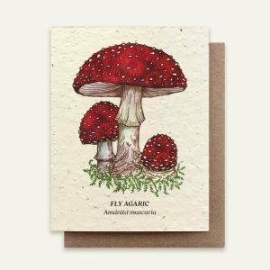 Note Card: Fly Agaric mushroom (seed card)