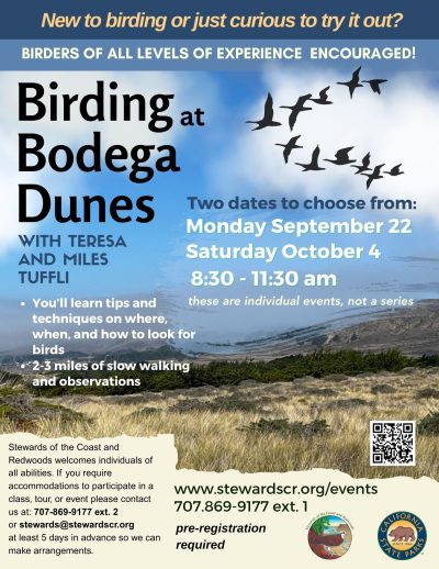 2025 Birding at Bodega Dunes September