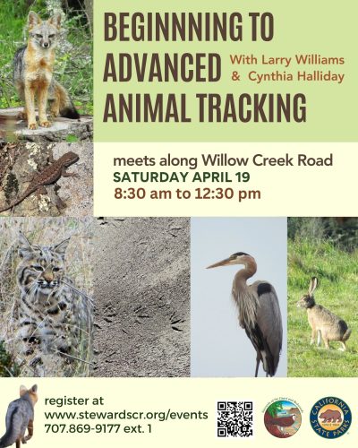 2025 April Beginning to Advanced Animal Tracking