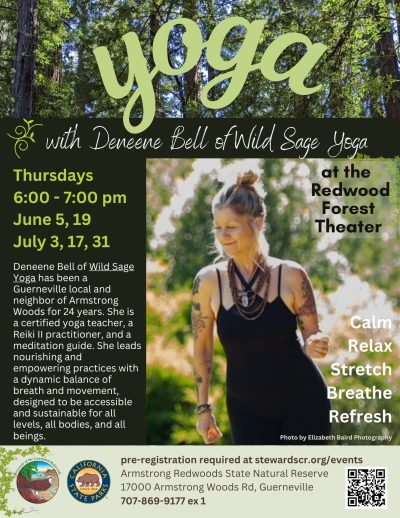 2025 Yoga in the Redwoods June 19