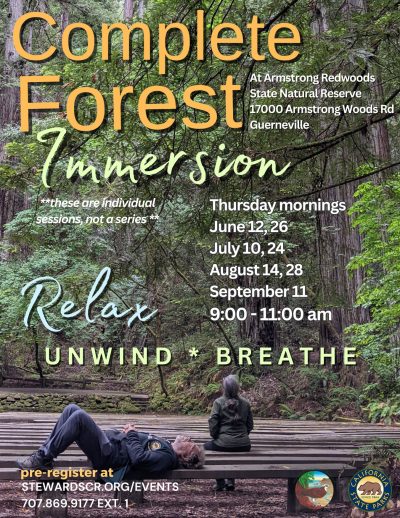2025 Guided Forest Immersion in the Redwoods July 10