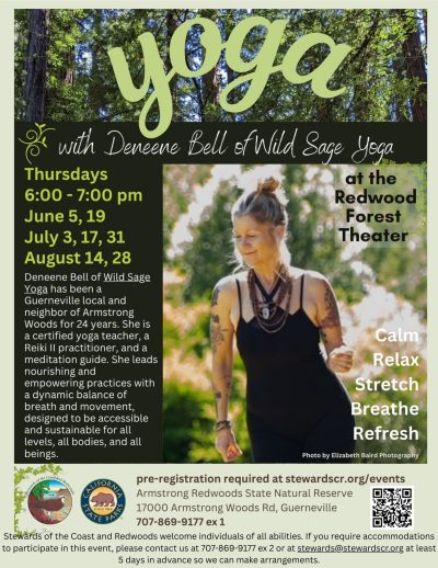 2025 Yoga in the Redwoods August 28