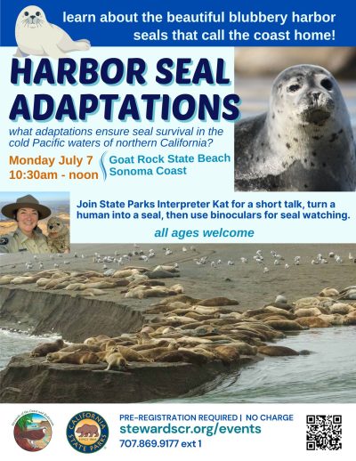 2025 Harbor Seal Adaptations July