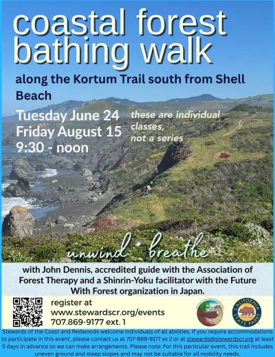 2025 Coastal Forest Immersion walk August