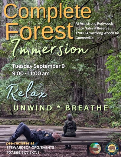 2025 Guided Forest Immersion in the Redwoods September 9