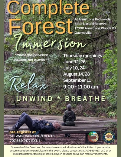 2025 Guided Forest Immersion in the Redwoods August 28