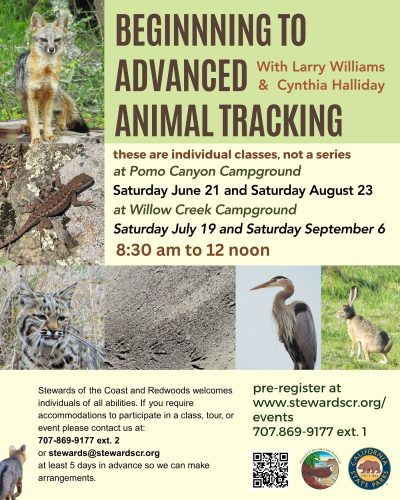2025 July 19 Beginning to Advanced Animal Tracking