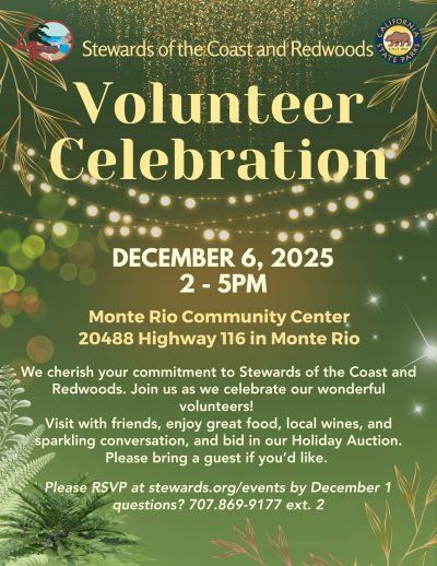 2025 Annual Volunteer Celebration