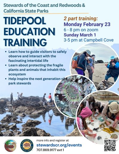 2026 Tidepool Volunteer Training and Field Visit