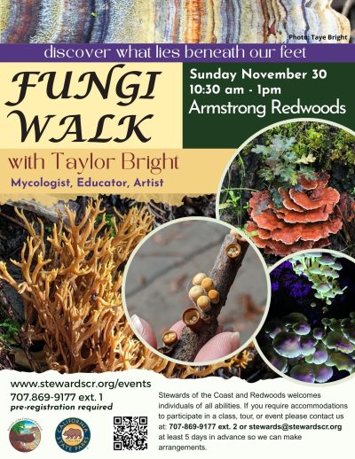2025 Fungus Walk in the Redwoods November 30