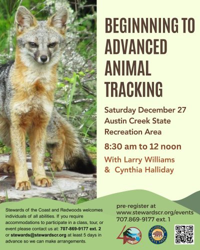 2025 December Beginning to Advanced Animal Tracking Austin Creek