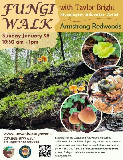 2026 Fungus Walk in the Redwoods January 25