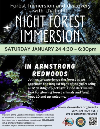 2026 January 24 Night Forest Immersion Walk with UV lights
