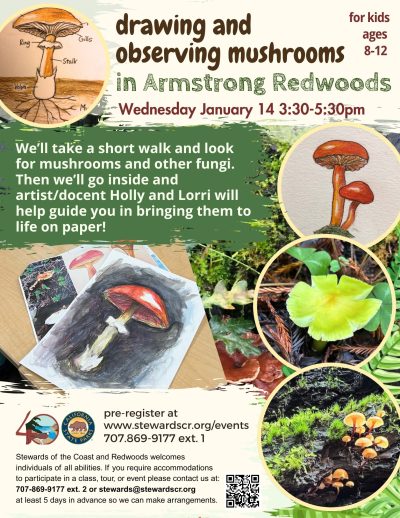 2026 Kids draw and observe mushrooms January
