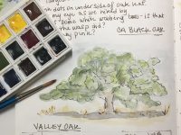 2026 Nature Journaling Beyond Beginner February