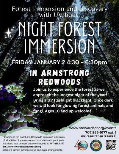2026 January 2 Night Forest Immersion Walk with UV lights