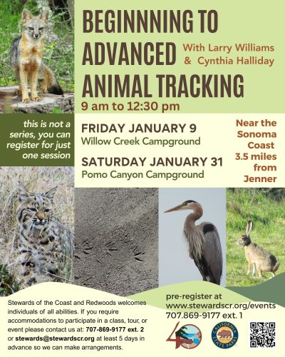 2026 January 31 Beginning to Advanced Animal Tracking