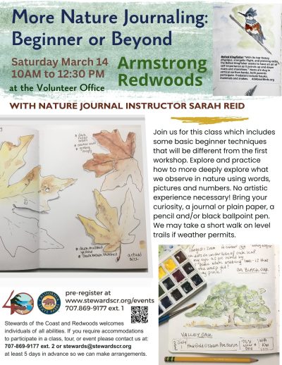 2026 More Nature Journaling: Beginner or Beyond March