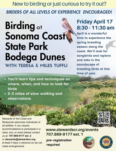 2026 Birding at Bodega Dunes April 17