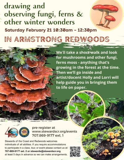 2026 Drawing and observing fungi, ferns, and other winter wonders
