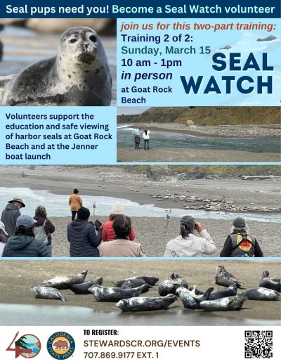 2026 Seal Watch in-person Volunteer Training