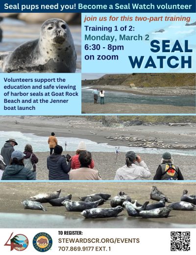 2026 Seal Watch Volunteer Training