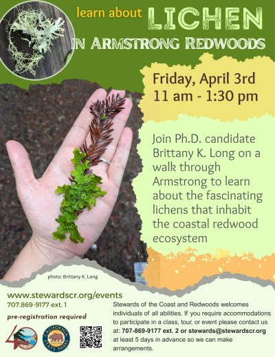 2026 Lichens of the Coastal Redwood ecosystem