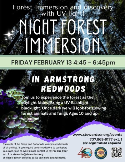2026 February 13 Night Forest Immersion Walk with UV lights