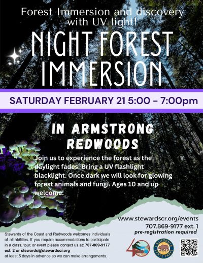 2026 February 21 Night Forest Immersion Walk with UV lights