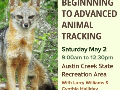 Learn to read animal tracks and sign in beautiful Austin Creek State Recreation Area