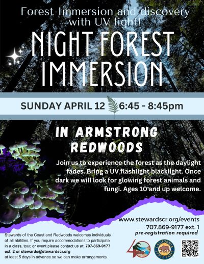 2026 April 12 Night Forest Immersion Walk with UV lights