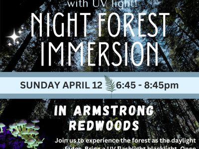 Night Forest Immersion Walk with UV lights April 12