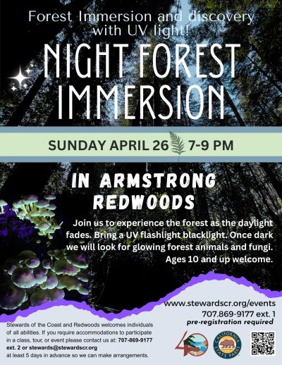 2026 April 26 Night Forest Immersion Walk with UV lights