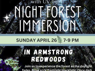 Night Forest Immersion Walk with UV lights April 26