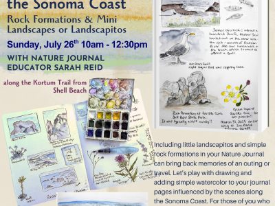 Coastal Nature Journaling - Rock Formations & Mini Landscapes