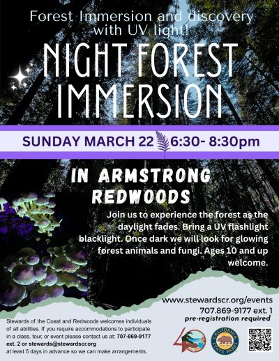 2026 March 22 Night Forest Immersion Walk with UV lights