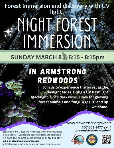 2026 March 8 Night Forest Immersion Walk with UV lights