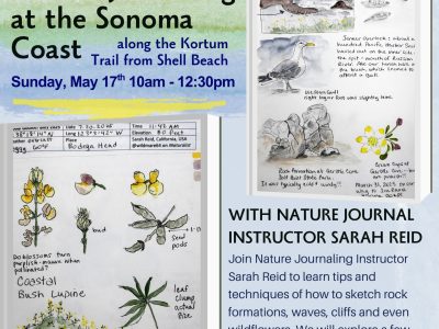 2026 Nature Journaling at the Sonoma Coast May 17th