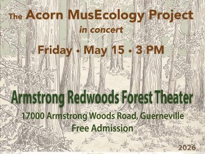 Acorn MusEcology Project in concert