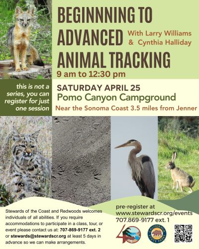 2026 April 25 Beginning to Advanced Animal Tracking Pomo Canyon