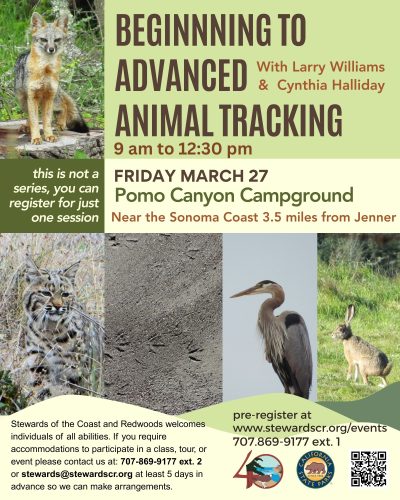 2026 March 27 Beginning to Advanced Animal Tracking Pomo Canyon